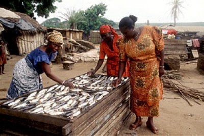 Making a living by selling fish.