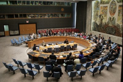 Security Council.