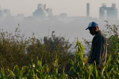 A farmer in his cornfield overlooking a smelter in Maputo.