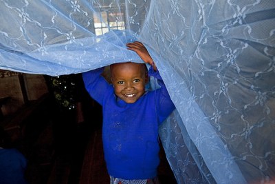 Long-lasting insecticide-treated bed nets.