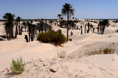The Great Green Wall aims to prevent the Sahara Desert from encroaching on land used for human settlement.