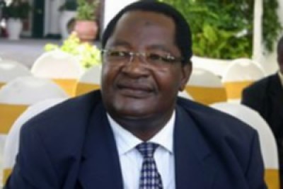 Mines and Mining Development Minister Obert Mpofu.