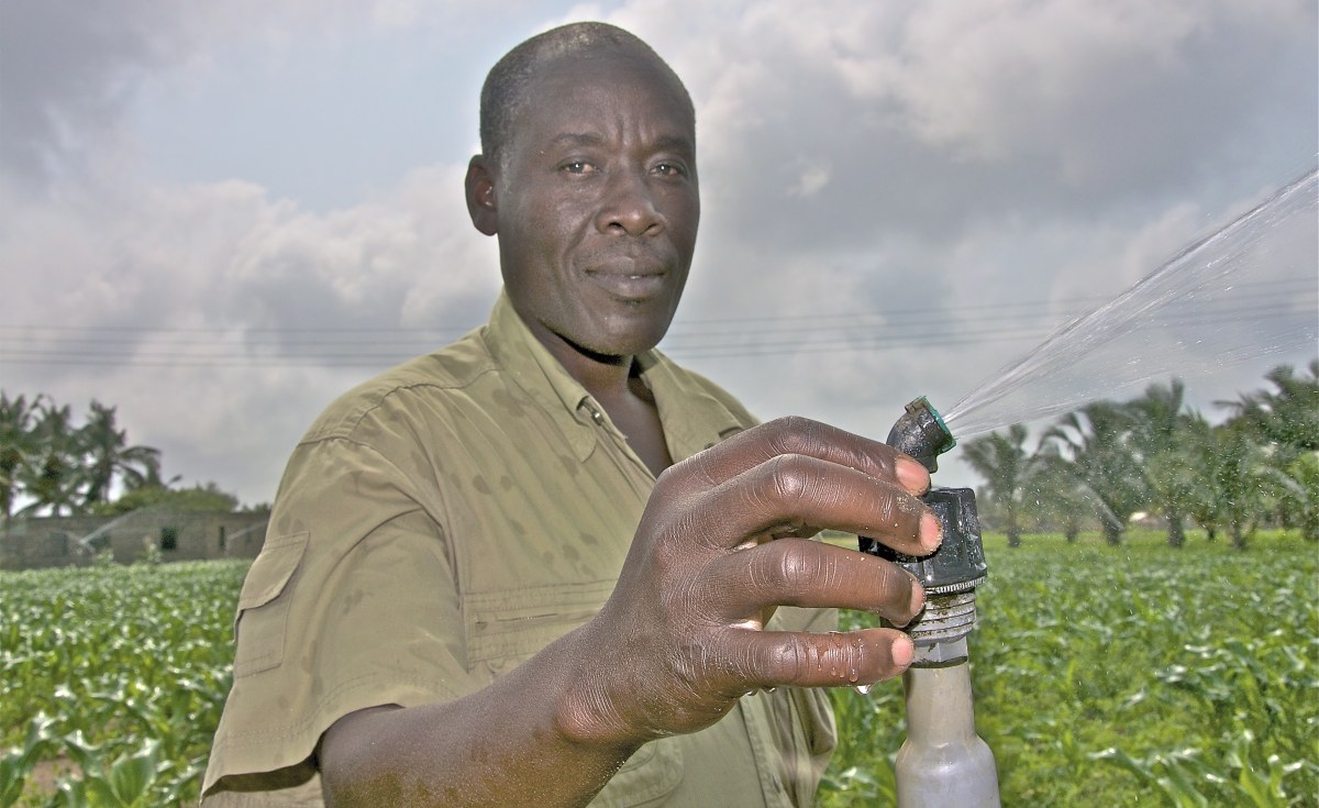 Photoessay Local Irrigation Solutions Boost Yields For African Farmers