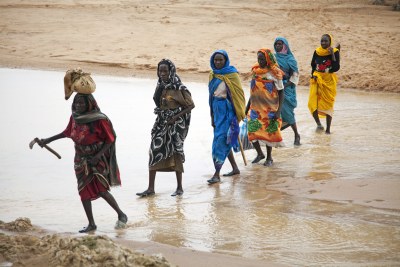 Displaced Sudanese women collecting firewood.