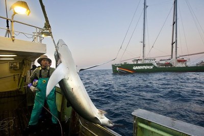 (Photo d'archives) - Des navires de pêche industrielle chinois, exercent en toute impunité, dans les eaux de pays d'Afrique de l'Ouest, avec la complicité de certaines autorités locales.