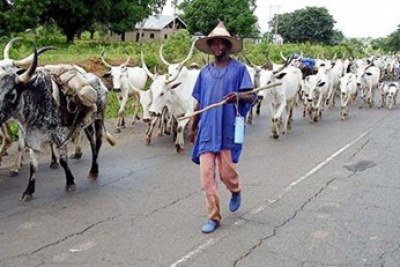 Fulani herdsman (file photo).