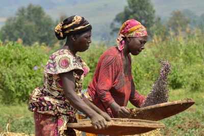 Women farming (file photo).