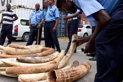 Kenya police net ivory at the Mombasa port.