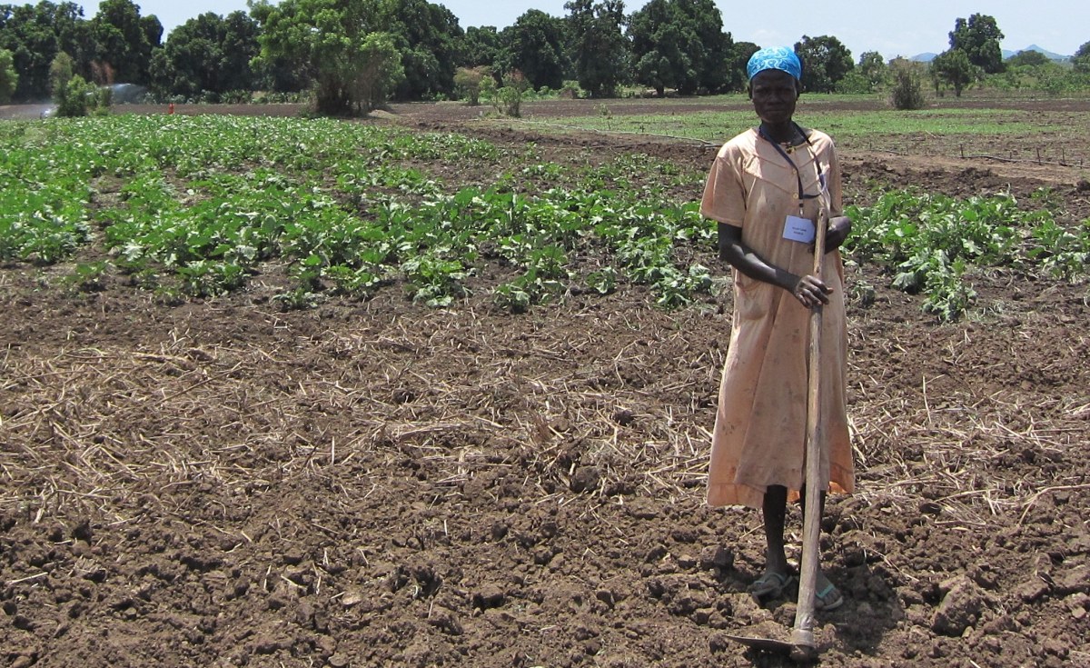 PhotoEssay » Agriculture in South Sudan