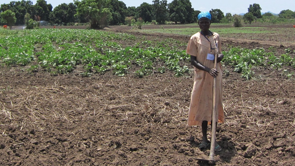 PhotoEssay » Agriculture in South Sudan