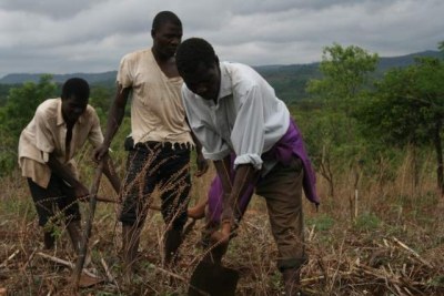 Malawian farmers.