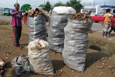 (Photo d'archives) - Au Cameroun, la mise en place d'une bourse des produits agricoles est en débat pour régler la problématique du transport et de la distribution des produits issus de l'agriculture