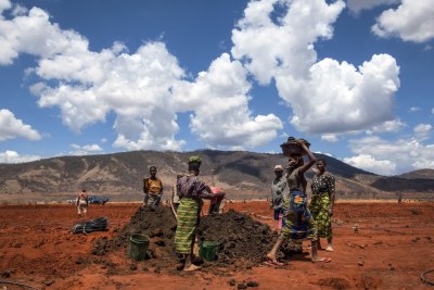 Small scale farmers in Tanzania prepare trench excavation and fertilization on a 300-acre grape production project.