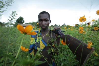 A member of the self-defense group carrying his traditional rifle in a flower field, around the village of Sambaye, 10 km west of Bozoum, Ouaham Pende Prefecture, northwest CAR, 28 June 2008. Local militias recruit among the villagers on a voluntary basis -- women can also be members. UNICEF advocates to communities to prevent the use of children in their ranks.