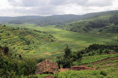 Rwandan landscape.