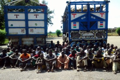 Fifty suspected Boko Haram members were caught hiding underneath a truck carrying sheeps and goats during a routine check in Borno State.