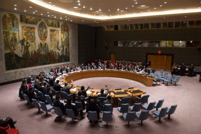 Le Conseil de sécurité de l’ONU.