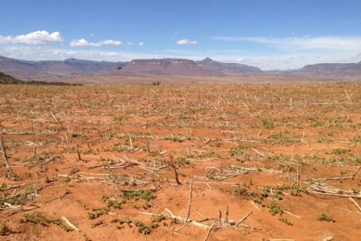 Terres stériles en raison de la sécheresse provoquée par El Niño dans le pays d’Afrique australe du Lesotho.