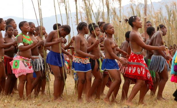 614px x 376px - Porn and Sex Tourism - The eSwatini Reed Dance Made Sleazy ...