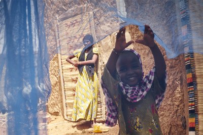 Paludisme - Le Niger, l’un des pays les plus pauvres de la planète, est particulièrement touché.
