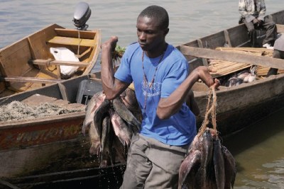 A fisherman at the Ggaba landing site recently.