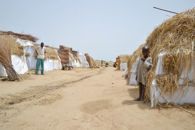 Un camp informel de personnes déplacés à Dikwa (Etat de Borno, Nigéria) où sont 191 familles. Leur village, Kaza, a été occupé par Boko Haram pendant environ deux ans.