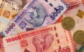 Tanzania Closes Down Forex Outlets In Dar Es Salaam Allafrica Com - 
