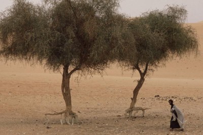 La Mauritanie vit actuellement un nouvel épisode de sécheresse qui déstabilise le monde agropastoral. (Image d'illustration).