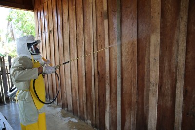 Indoor residual spraying in Tamanrasset Province: effective vector control is one of the key components of Algeria's elimination success.