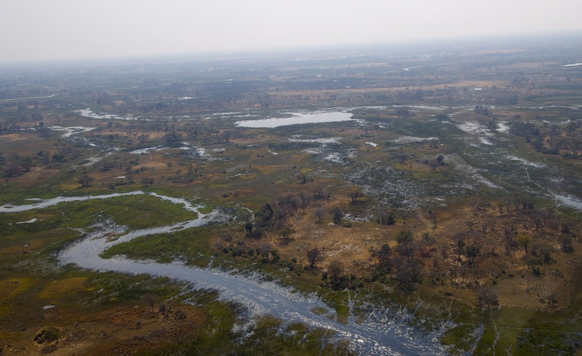 Botswana: De Beers, National Geographic Form Partnership to Protect Okavango Delta