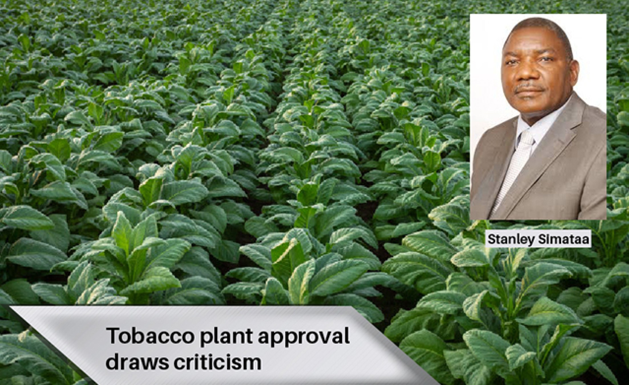 Namibia Tobacco Plant Approval Draws Criticism