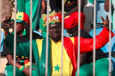 Supporter Sénégalais pendant le match Sénégal - Bénin