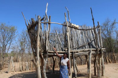 Siphiwe Moyo, a farmer in Newigwe, in Zimbabwe's Nkayi district, shows an empty traditional granary as western Zimbabwe is hit by drought (file photo).