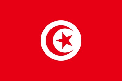 Tunisia flag (file photo).
