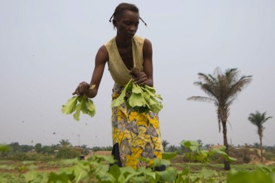 A farmer in the DR Congo where one in three people suffer from acute hunger.