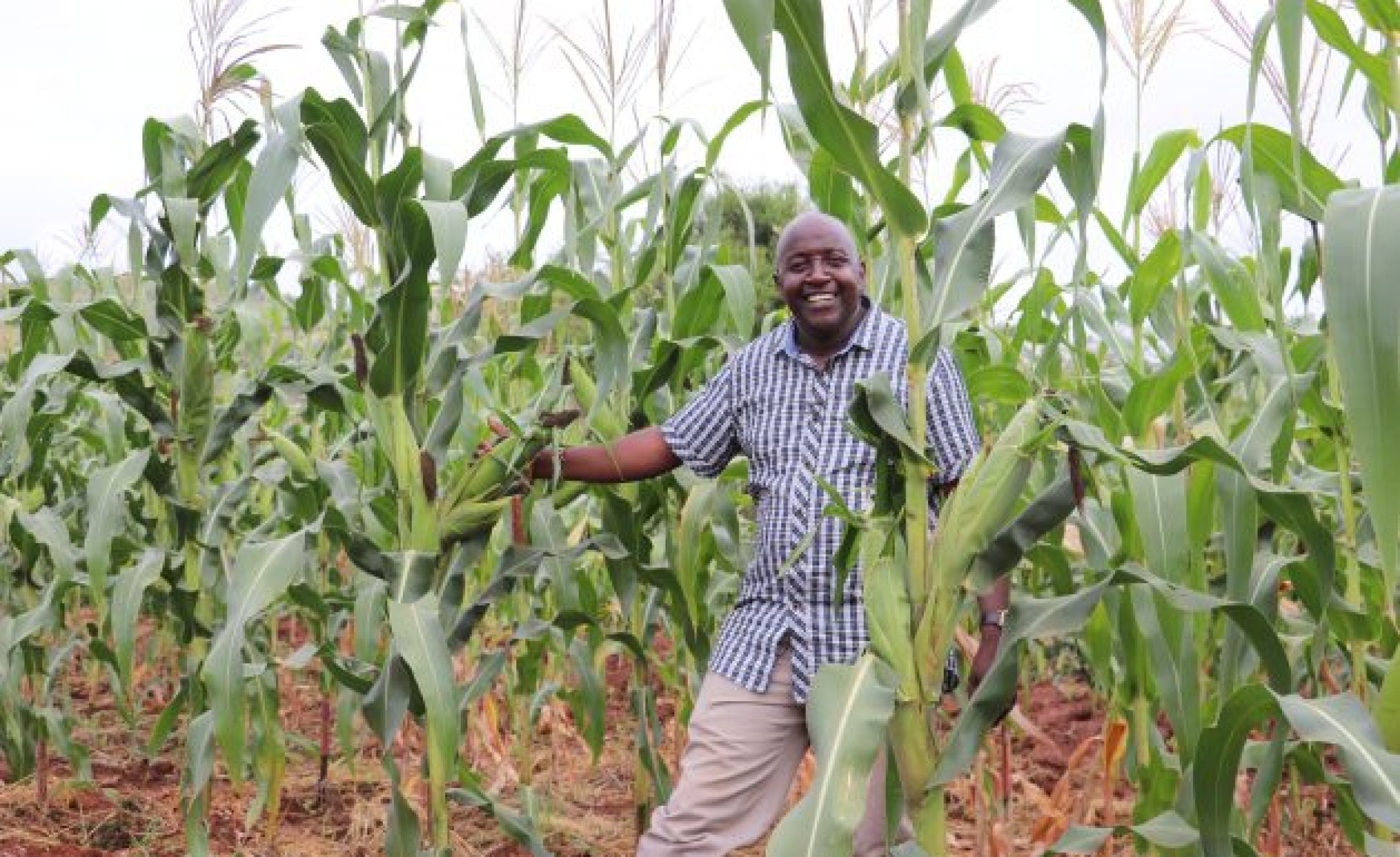 Kenya's Dryland Farmers Embrace Regenerative Farming to Brave Tough