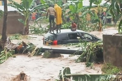 Houses submerged, crops and gardens washed away as River Nabuyonga broke it's banks after heavy rains in Eastern Uganda.