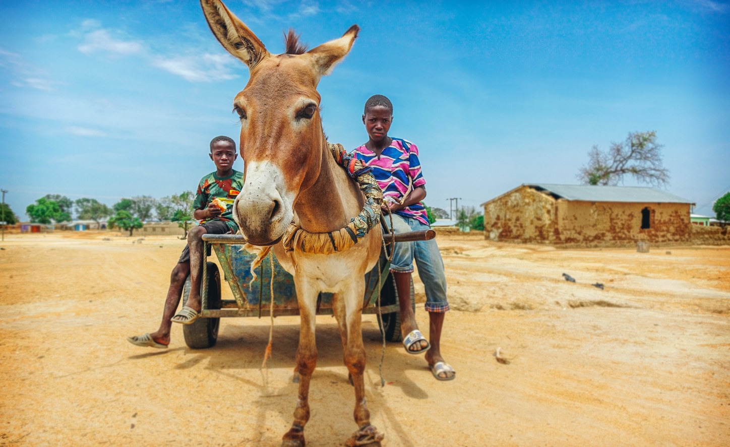Zimbabwe 'StoneAge' DonkeyDrawn Carts Ply Zimbabwe's Abandoned