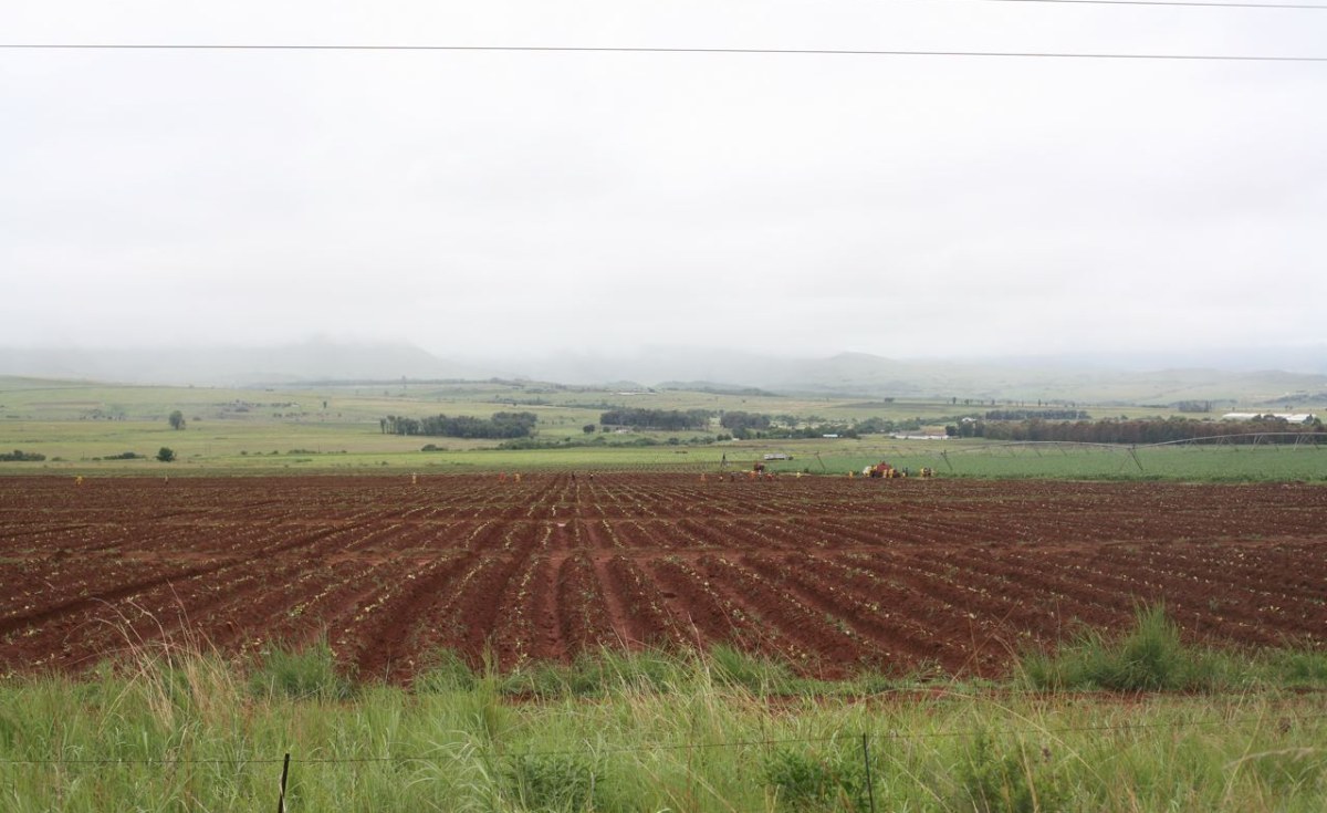 South Africa: Grain SA CEO - Poorly Regulated Coal Mining Is a Threat to SA's Food Security