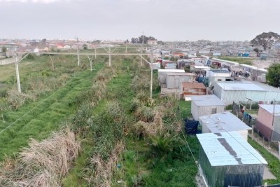 Vegetation has grown over parts of Cape Town's Central railway line.
