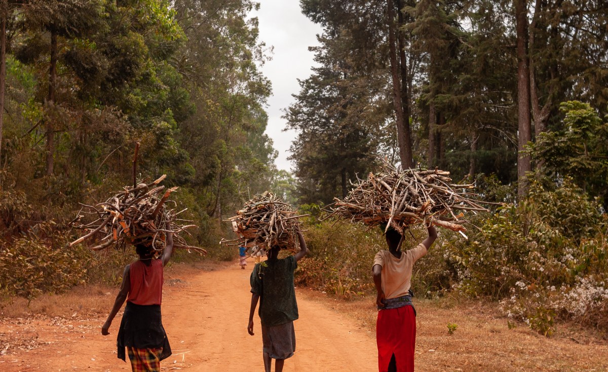 Rwanda: Primed to Accelerate the Reduction of Malnutrition in Rwanda