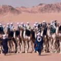 Annual Camel Festival